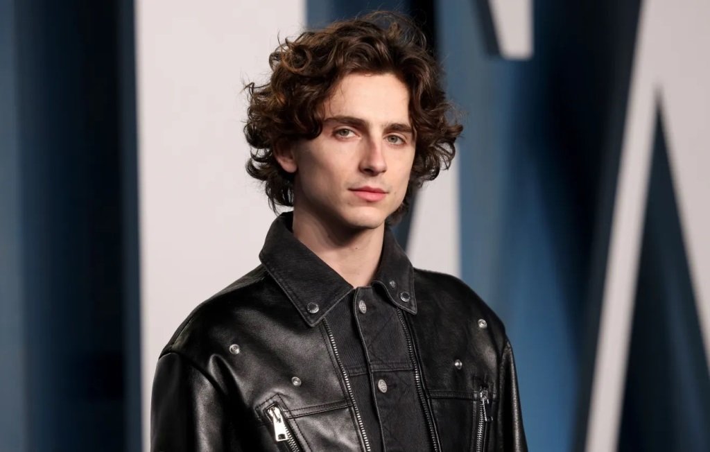 timothee-chalamet-ccxp-dicas-de-sampa