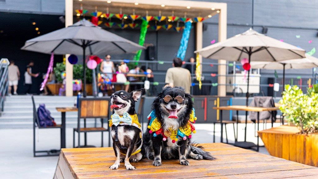 carna-pet-shopping-eldorado-dicas-de-sampa