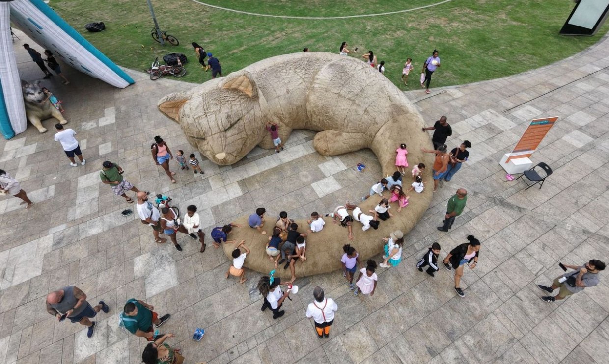 Gatao-RJ-2